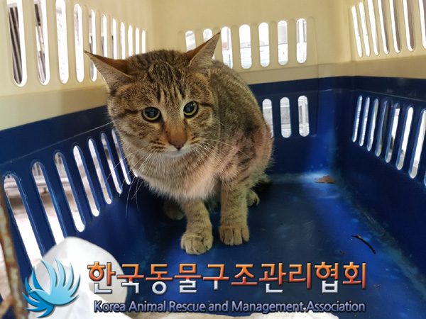 종료(자연사) 한국…